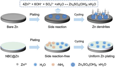 Amino-Functionalized Interfacial Layer Enables an Ultra-Uniform Amorphous Solid Electrolyte Interphase for High-Performance Aqueous Zinc-Based Batteries