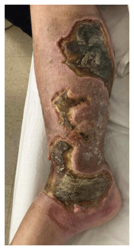 Details are in the caption following the image Details are in the caption following the image
