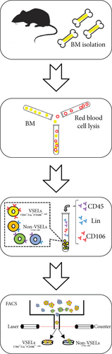 Details are in the caption following the image
