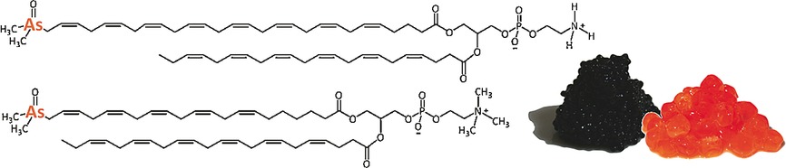 Arsenic-Containing Phosphatidylcholines: A New Group of Arsenolipids Discovered in Herring Caviar