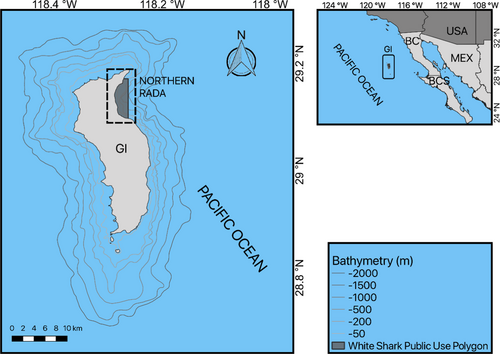 Details are in the caption following the image