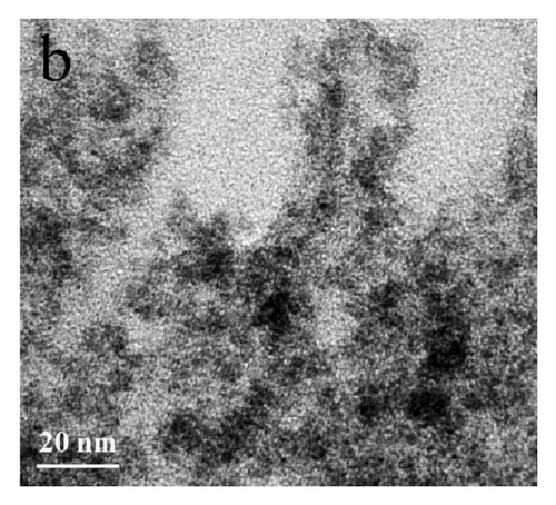 Details are in the caption following the image