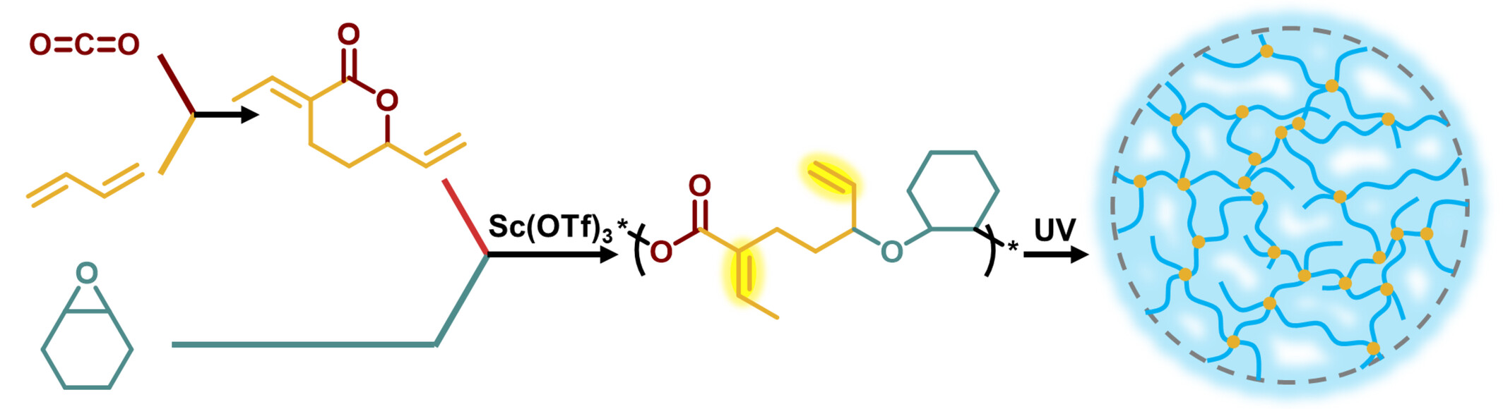 Random Terpolymer of Carbon Dioxide, Butadiene and Epoxides: Synthesis, Functionalization and Degradability