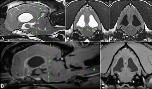 Details are in the caption following the image Details are in the caption following the image