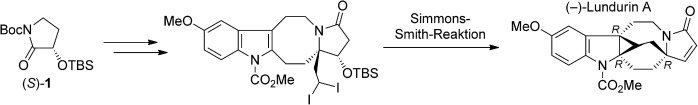Total Synthesis of (−)-Lundurine A and Determination of its Absolute Configuration