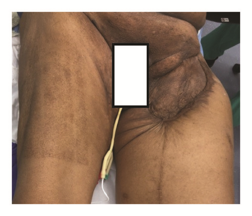 Details are in the caption following the image Details are in the caption following the image