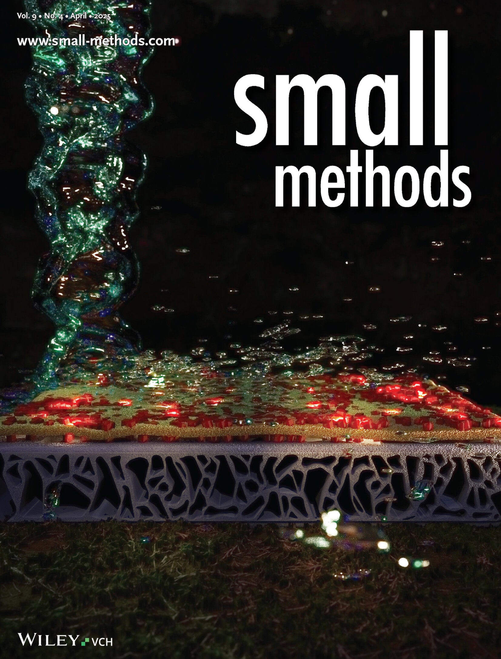 Analysis of Metal–Organic Framework and Polyamide Interfaces in Membranes for Water Treatment and Antibacterial Applications (Small Methods 4/2025) Volume 9 Issue 4, 2025