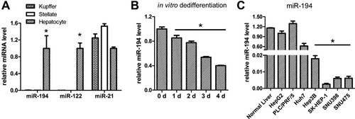 Details are in the caption following the image
