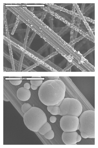 Details are in the caption following the image