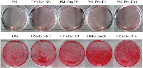 Details are in the caption following the image Details are in the caption following the image