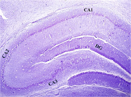 Details are in the caption following the image