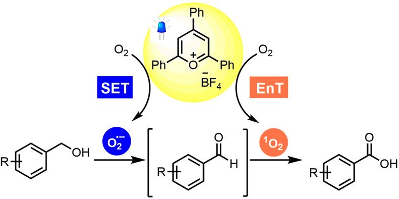Organophotocatalytic oxidation of alcohols to carboxylic acids