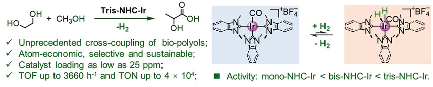 Iridium-Catalyzed Selective Cross-Coupling of Ethylene Glycol and Methanol to Lactic Acid