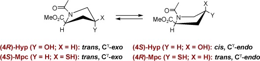 Conformational Properties of 4-Mercaptoproline and Related Derivatives