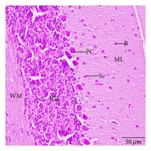 Details are in the caption following the image