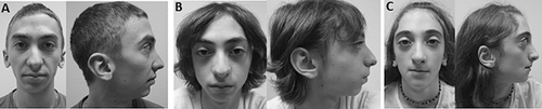 Details are in the caption following the image Details are in the caption following the image