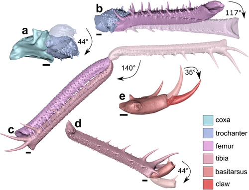 Details are in the caption following the image Details are in the caption following the image