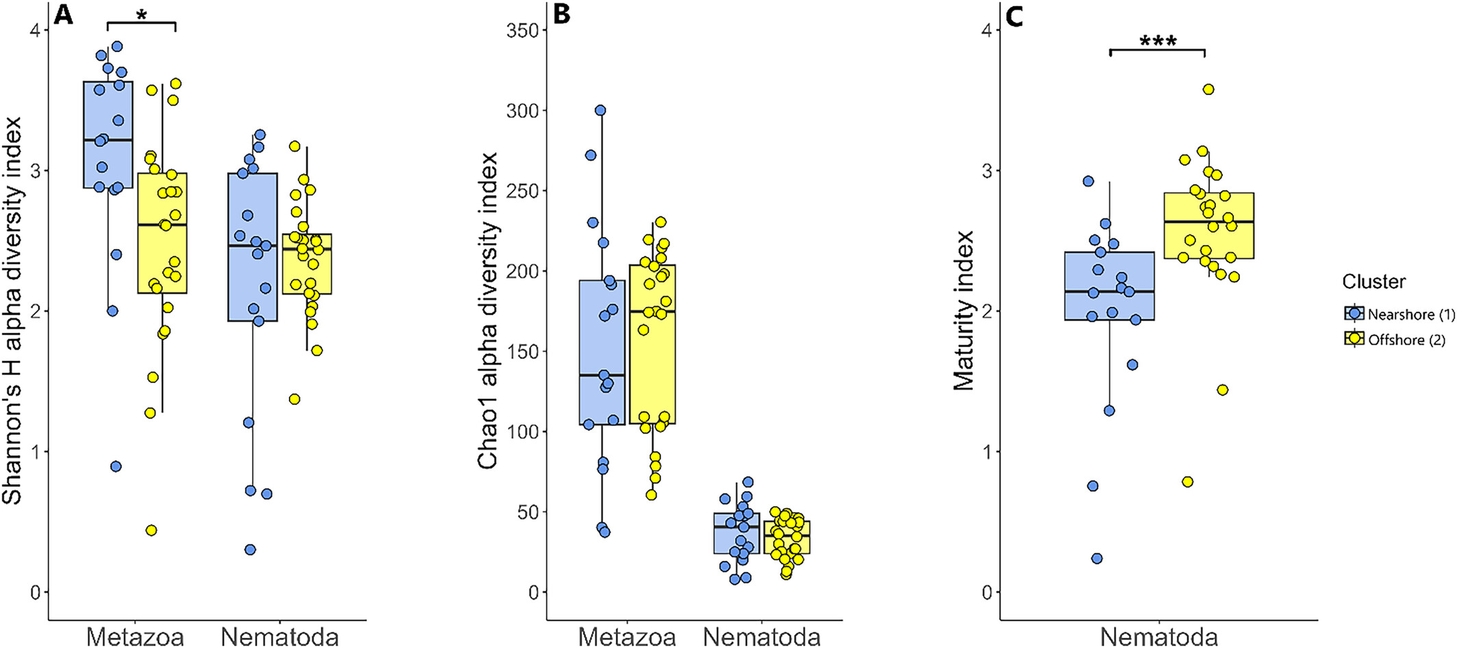 Environmental Gradients, Not Geographic Boundaries, Structure Meiofaunal Communities in Siberian Seas