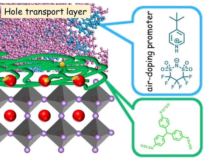 Triisocyanate Derived Interlayer and High-Melting-Point Doping Promoter Boost Operational Stability of Perovskite Solar Cells