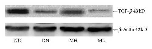 Details are in the caption following the image