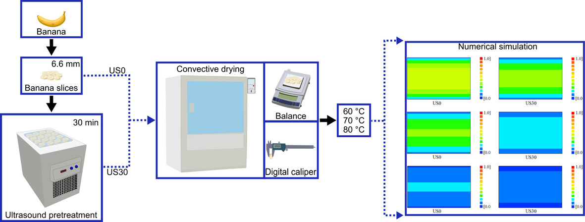 Impact of ultrasound pretreatment on banana chip production by convective drying using hot air: Consideration of shrinkage and variable effective mass diffusivity in the process description