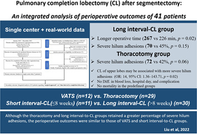 Pulmonary completion lobectomy after segmentectomy: An integrated analysis of perioperative outcomes