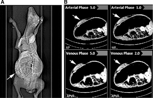 Details are in the caption following the image Details are in the caption following the image