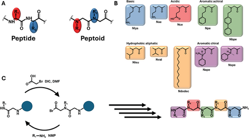 Details are in the caption following the image Details are in the caption following the image
