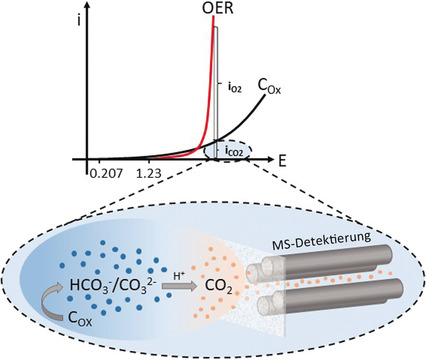 Online-Bestimmung der elektrochemischen Kohlenstoffkorrosion in alkalischen Elektrolyten durch differentielle elektrochemische Massenspektrometrie
