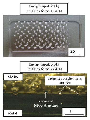 Details are in the caption following the image Details are in the caption following the image