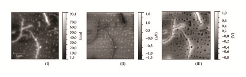 Details are in the caption following the image