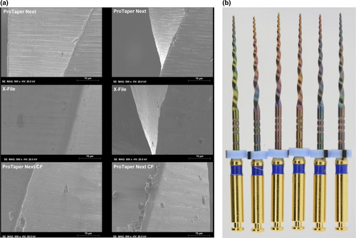 Details are in the caption following the image Details are in the caption following the image