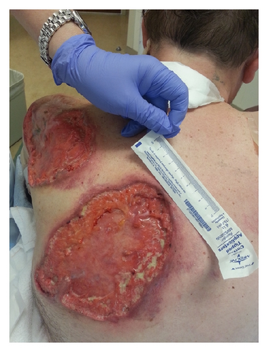 Details are in the caption following the image Details are in the caption following the image