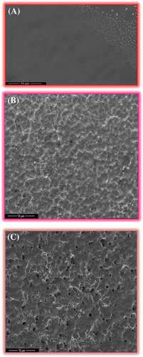 Details are in the caption following the image