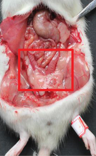 Details are in the caption following the image Details are in the caption following the image
