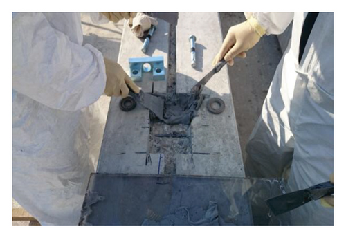 Details are in the caption following the image Details are in the caption following the image