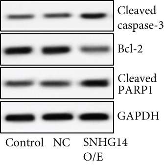 Details are in the caption following the image