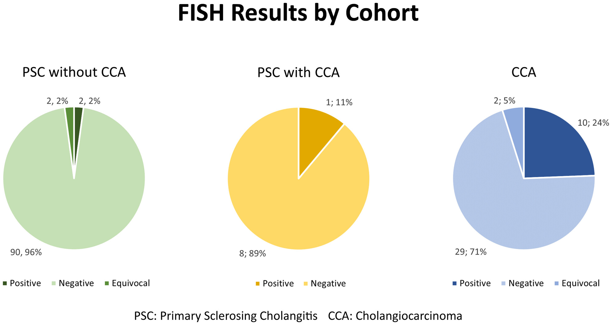 Detecting Cholangiocarcinoma in the Setting of Primary Sclerosing Cholangitis: Is Biliary Tract Fluorescence In Situ Hybridization Helpful?