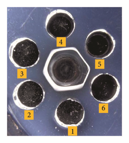 Details are in the caption following the image