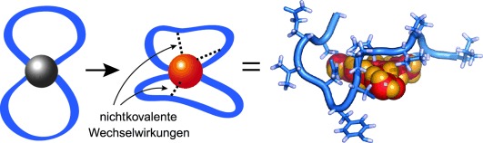 Peptide Ligands Stabilized by Small Molecules