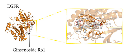 Details are in the caption following the image