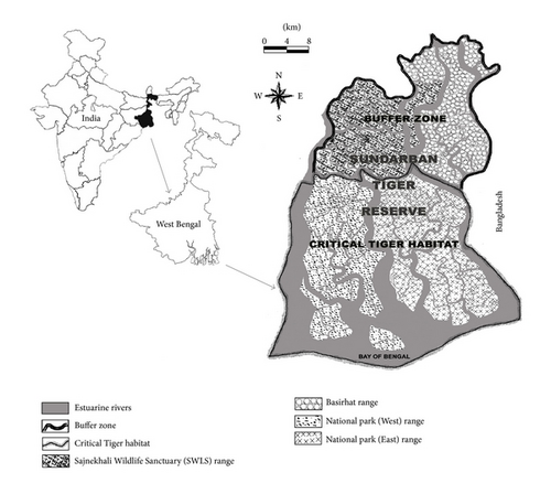 Details are in the caption following the image Details are in the caption following the image