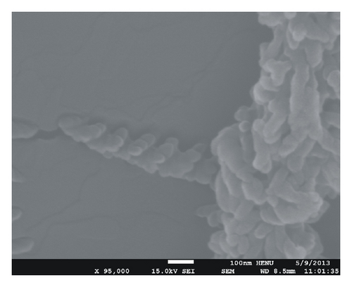Details are in the caption following the image