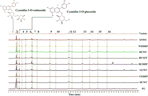Details are in the caption following the image Details are in the caption following the image