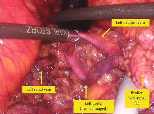 Details are in the caption following the image Details are in the caption following the image