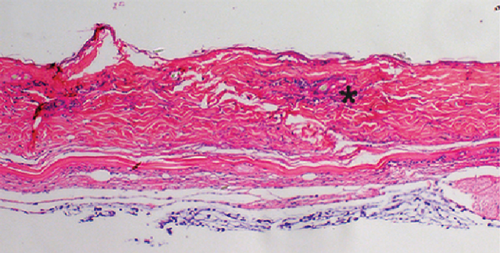 Details are in the caption following the image Details are in the caption following the image