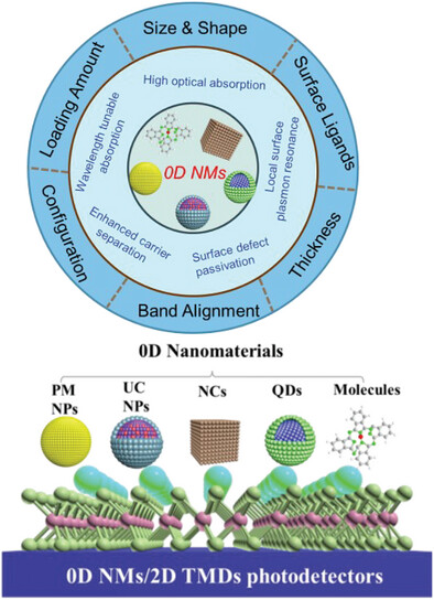 Two-Dimensional Transition Metal Dichalcogenides (2D TMDs) Coupled With Zero-Dimensional Nanomaterials (0D NMs) for Advanced Photodetection