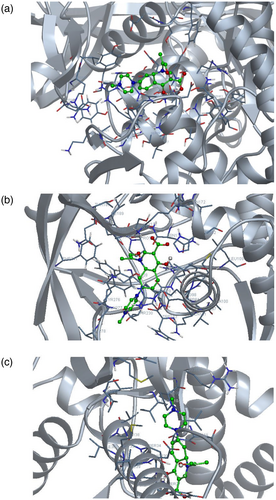 Details are in the caption following the image