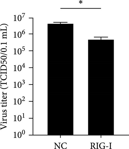 Details are in the caption following the image