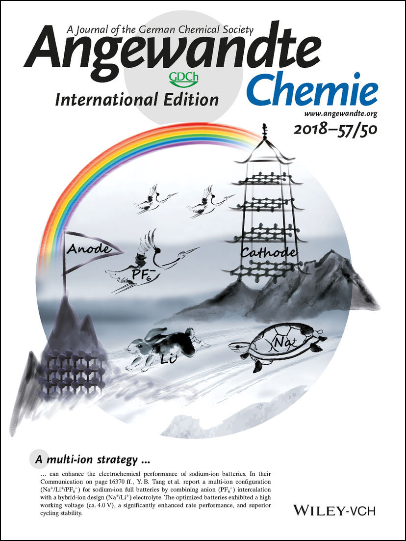 Inside Back Cover: A Multi-Ion Strategy towards Rechargeable Sodium-Ion Full Batteries with High Working Voltage and Rate Capability (Angew. Chem. Int. Ed. 50/2018) Volume 57 Issue 50, 2018